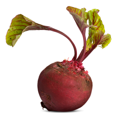 beetroot