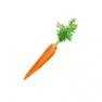 carrot2_1