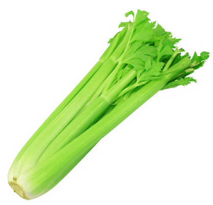 celery_2