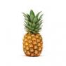 pineapple__